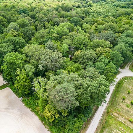Hameau Des 40 Arpents Hotel Gergy Kültér fotó
